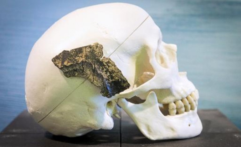 Washington (AFP). La découverte d'un fossile vieillit le genre humain de 400.000 ans