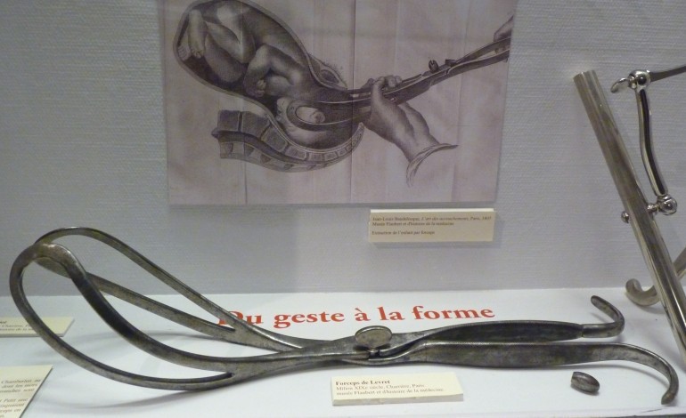 De la médecine au Musée Flaubert à Rouen