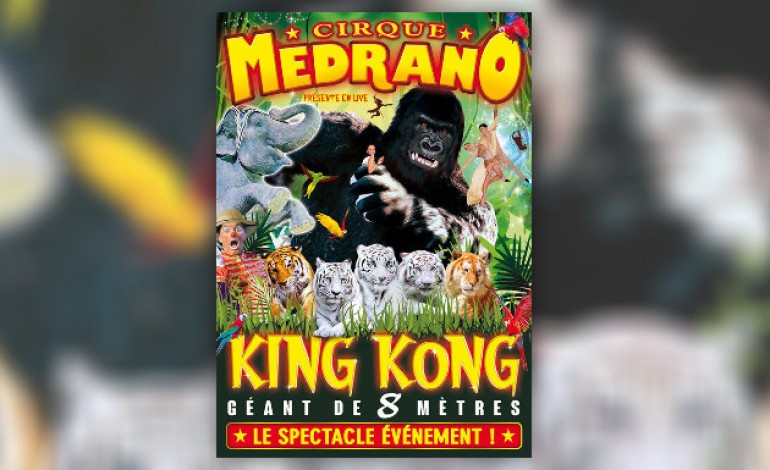 Cadeaux : "King-Kong - le roi de la jungle" et votre coffret chocolat