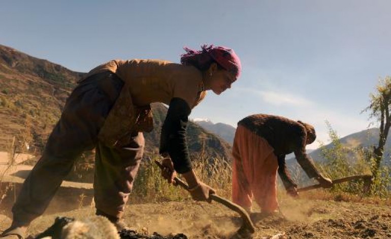 Thehe (Népal) (AFP). Au Népal, la pauvreté renvoie des ouvriers agricoles à l'esclavage