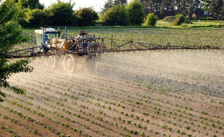 Paris (AFP). OMS: 5 pesticides classés cancérogènes probables ou possibles