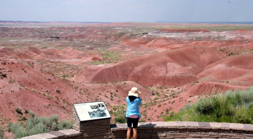 Les parcs nationaux de Petrified Forest et Painted Forest