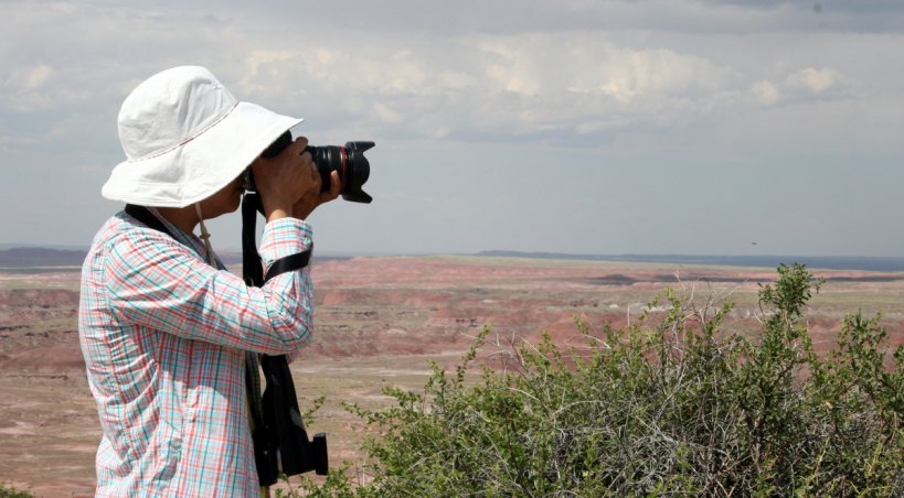 Les parcs nationaux de Petrified Forest et Painted Forest