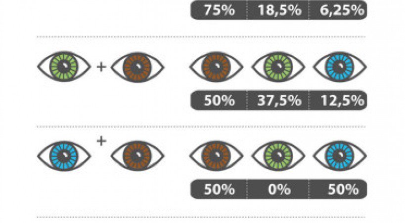 Infographie yeux parents/enfants