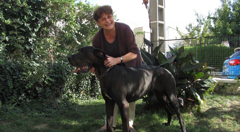 Colette Vallée pratique l'ostéopathie sur chiens et chats depuis quelques mois.