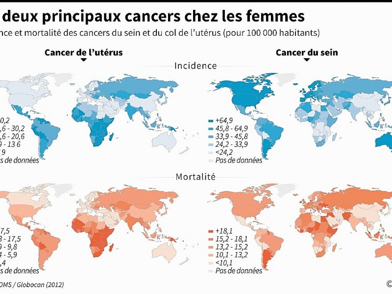 Les deux principaux cancers chez les femmes - Sabrina BLANCHARD [AFP]