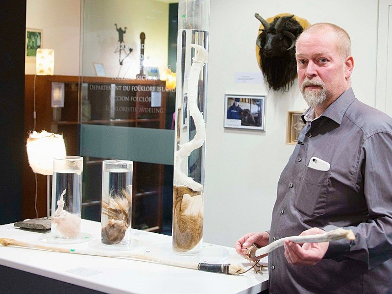 Ouvert en 1997 avec 63 pièces par Sigurdur Hjartarson, historien et collectionneur de pénis depuis les années 70, le musée est aujourd'hui dirigé par son fils, Hjortur Sigurdsson qui pose ici dan le musée du phallus à Reykjavik le 27 octobre 2016 - Halldor KOLBEINS [AFP/Archives]