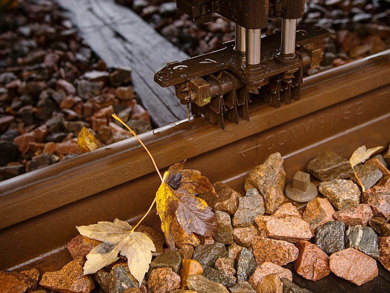 Des feuilles mortes sur la ligne de train entre Saint-Pierre-des-corps et Vierzon, le 18 novembre 2016 - Guillaume SOUVANT [AFP]