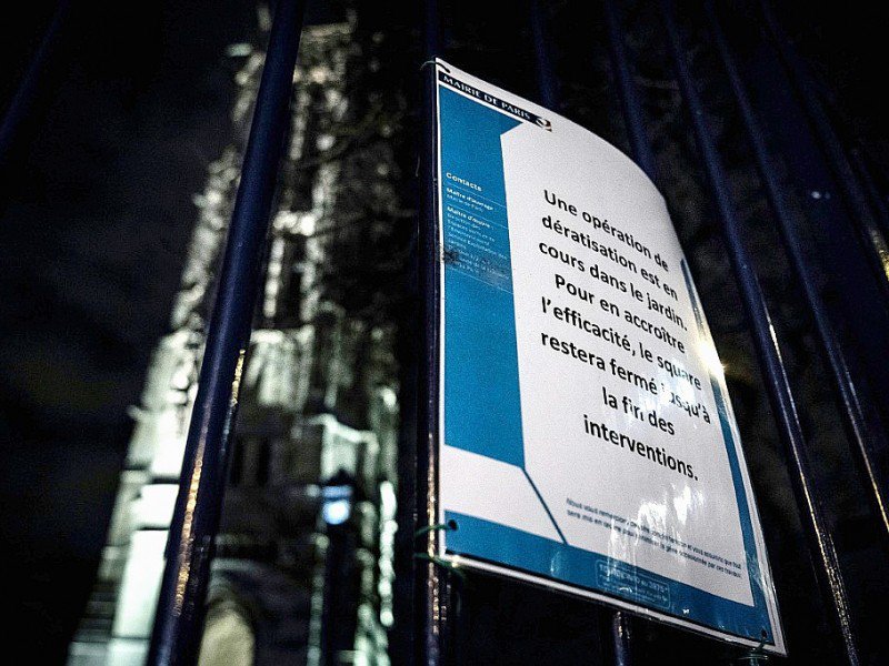 Une affiche prévient qu'"une opération de dératisation est en cours" au square de la tour Saint Jacques à Paris, le 15 décembre 2016 - PHILIPPE LOPEZ [AFP]