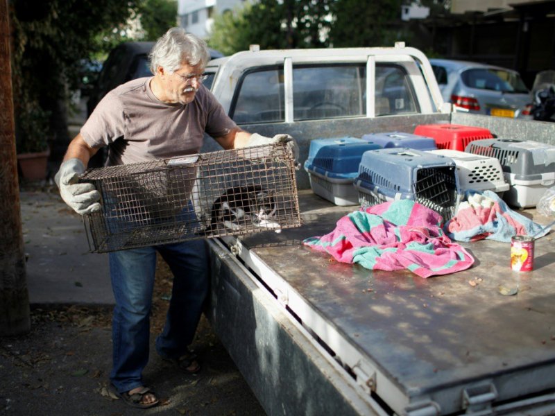Dinos Ayiomamitis, installe dans les rues de Nicosie, le 13 octobre 2016 des pièges pour attraper les chats dans le cadre d'une campagne de stérilisation - Florian CHOBLET [AFP]