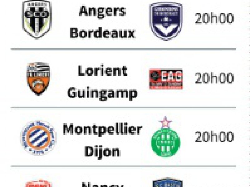 Ligue 1: 20e journée - Vincent LEFAI [AFP]