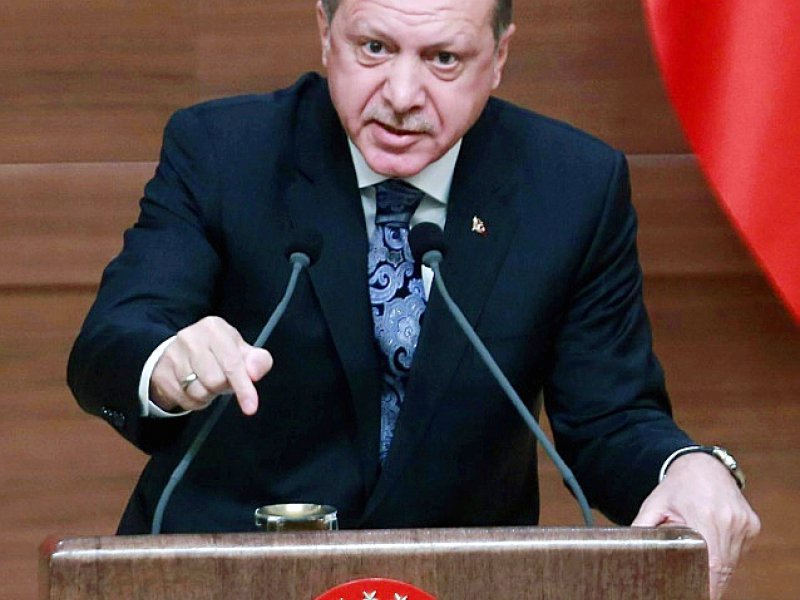 Le président turc, Recep Tayyip Erdogan, le 19 janvier 2017 à Ankara - Adem ALTAN [AFP]