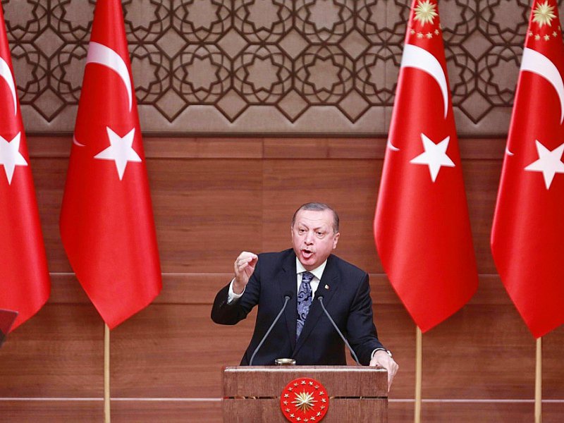 Le président turc Recep Tayyip ERdogan, le 19 janvier 2017 à Ankara - Adem ALTAN [AFP]