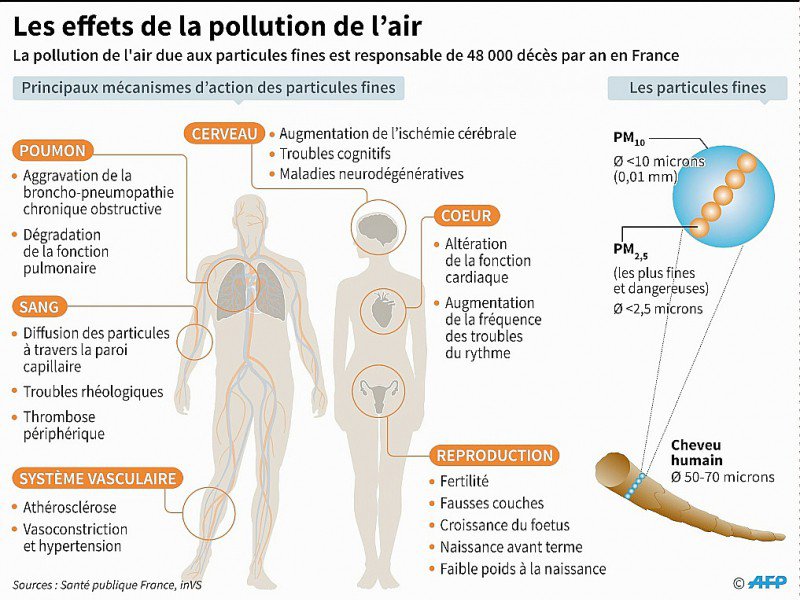 Les effets de la pollution de l'air - Alain BOMMENEL, Sophie RAMIS [AFP]