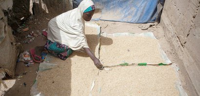 Une femme fait sécher du grain dans le camp de personnes déplacées de Dikwa, dans le nord-est du Nigeria, le 15 février 2017 - FLORIAN PLAUCHEUR [AFP]