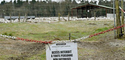Une ferme de carands à Bourriot-Bergonce, en France, le 22 février 2017 - GEORGES GOBET [AFP]