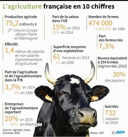 L'agriculture française en 10 chiffres - Jean Michel CORNU, Alain BOMMENEL [AFP]