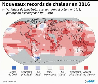 Nouveaux records de chaleur en 2016 - Claudia SMIGAJ [AFP]