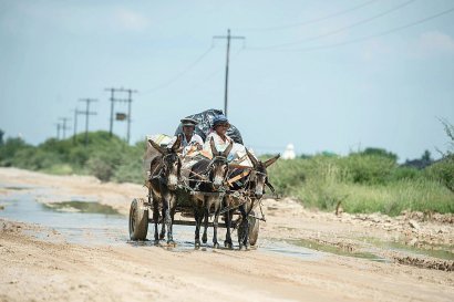 Des ânes tirent une charrette à Mogosani, une petite bourgade de la province sud-africaine du Nord-Ouest, le 9 février 2017 - MUJAHID SAFODIEN [AFP/Archives]