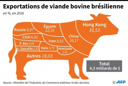 Exportations de viande bovine brésilienne - Anella RETA, Gustavo IZUS [AFP]