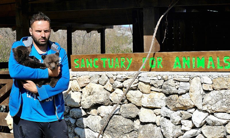 Le 28 mars 2017 à Blisna au Monténégro, Miljan Milickovic ingénieur de 31 ans et passionné d'animaux porte dans ses bras Masha et Brundo qu'il a installés dans sa propriété, aussi proches que possibles de la vie sauvage - SAVO PRELEVIC [AFP/Archives]