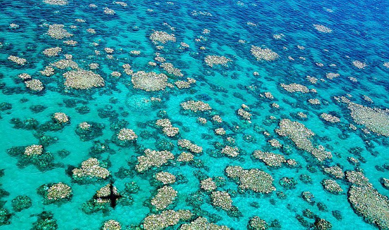 Vue aérienne de coraux blanchis en Australie, sur une photo prise par Ed Roberts et fournie par le Centre d'excellence pour les études sur les récifs coralliens de l'Australian Research Council (ARC) - Ed ROBERTS [ARC Centre of Excellence for Coral Reef Studies/AFP]