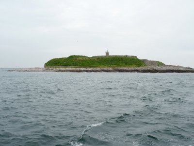 Les îles Saint-Marcouf sont à quelques kilomètres de Saint-Vaast-la-Hougue par bateau. - Célia Caradec