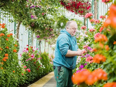 Un jardinier des Serres royales de Laeken, le 14 avril 2017, à Bruxelles, avant l'ouverture du site au public pendant trois semaines - LAURIE DIEFFEMBACQ [Belga/AFP]