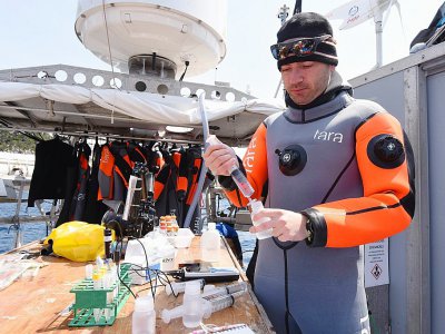 Entre deux plongées, Sylvain Agostini, l'un des coordinateurs scientifiques de l'expédition et professeur à l'Université de Tsukuba au Japon analyse l'eau de mer prélevée au large de l'île de Shikine, à bord de Tara le 29 mars 2017 - TORU YAMANAKA [AFP/Archives]