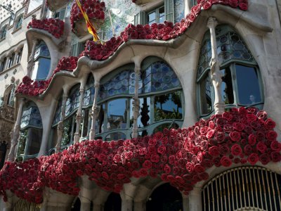 Une façade de Gaudi couverte de rose pour la Saint Georges, le 23 avril 2017 à Barcelone - Josep LAGO [AFP]