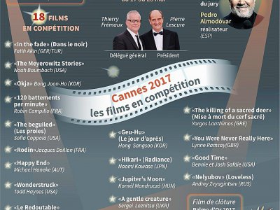 Les 18 films en compétition au 70e festival international du film de Cannes - Paul DEFOSSEUX, Kun TIAN [AFP]