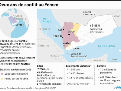 Deux ans de conflit au Yémen - Gal ROMA [AFP]