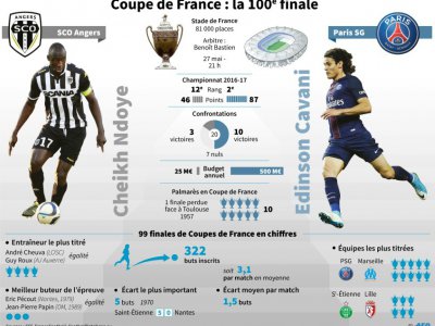 Coupe de France: la finale du centenaire, entre Angers et le PSG - Sophie Ramis [AFP]