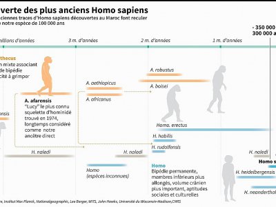 Découverte des plus vieux Homo sapiens - John SAEKI, Adrian LEUNG [AFP]