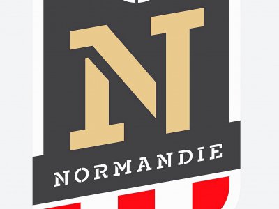 Le nouvel emblème du football normand - Sylvain Letouzé