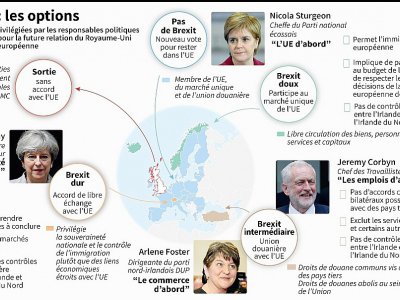 Brexit : les options - Gillian HANDYSIDE [AFP]