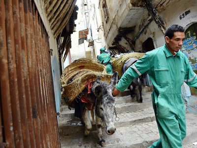 Des éboueurs parcourent la Casbah avec leurs ânes pour ramasser les ordures, le 22 mai 2017 à Alger - RYAD KRAMDI [AFP]