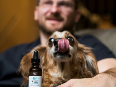 Brett Hartman et son chien Brutus, traité au cannabis, le 7 juin 2017 à Los Angeles - Robyn Beck [AFP]