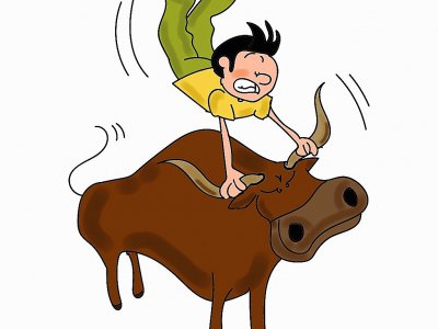 "Prendre le taureau par les cornes" - dedexpressions.com