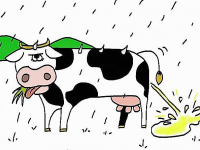"Pleuvoir comme vache qui pisse" - dedexpressions.com