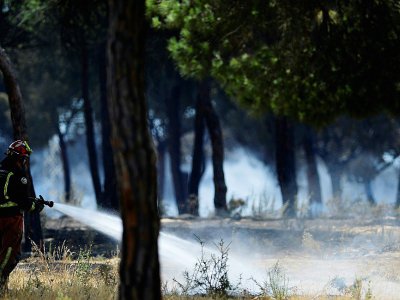 Des pompiers tentent d'éteindre l'incendie dans le parc naturel de Doñana au sud de l'Espagne, le 25 juin 2017 près de Mazagon - CRISTINA QUICLER [AFP]