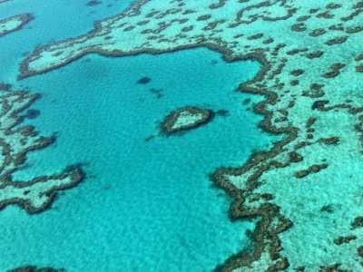 Vue aérienne de la Grande barrière de corail, le 20 novembre 2014 en Australie - Sarah LAI [AFP/Archives]