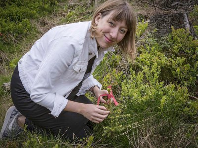 L'artiste écossaise Katie Paterson marque un arbre planté dans une forêt près d'Oslo, le 2 juin 2017, en Norvège - Kristin von Hirsch [Bjorvika Utvikling/AFP/Archives]