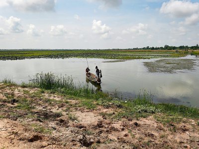 Le cholangiocarcinome, un parasite à l'origine d'un cancer du foie est fréquent dans les eaux du bassin du Mékong dans le nord-est de la Thaïlande - Lillian SUWANRUMPHA [AFP]