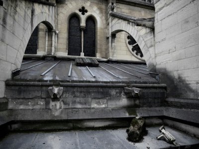 Détail du toit de la cathédrale Notre-Dame de Paris, endommagée par la pollution de l'air et les pluies acides, le 28 juin 2017 - Martin BUREAU [AFP]