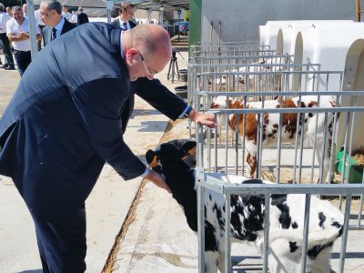 Etre ministre de l'agriculture, c'est aussi parler à l'oreille des bovins ! - Thibault Deslandes