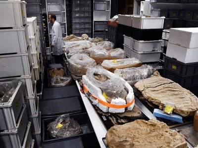 Des ossements humains entreposés dans un laboratoire de l'Ecole américaine d'archéologie d'Athènes, le 7 juillet 2017 - ARIS MESSINIS [AFP]