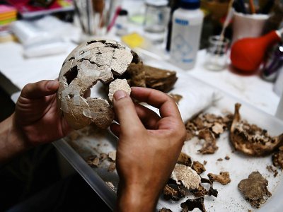 Un archéologue reconstitue un crâne humain dans un laboratoire de l'Ecole américaine d'archéologie d'Athènes, le 7 juillet 2017 - ARIS MESSINIS [AFP]
