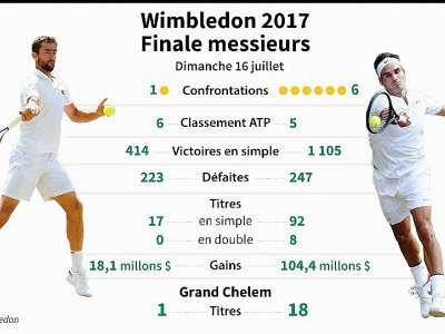Wimbledon : finale messieurs - jean michel Cornu [AFP]