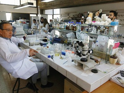 Le marocain Adnane Remmal, chef du laboratoire de biotechnologie de l'Université Sidi Mohamed Ben Abdallah de Fès, au centre du Maroc, avec son équipe le 30 juin 2017 - STRINGER [AFP]